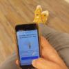 Was ist in meiner Gemeinde los? Wann kommt die Müllabfuhr? Wo melde ich defekte Straßenlaternen? Info-Apps für Orte und Vereine haben viele Funktionen.