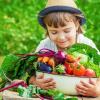 Einige Vitamine helfen unserem Körper, Hitze gut zu vertragen.